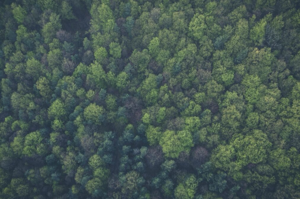 Sustainability at ØRN: Built Into the Way We Work