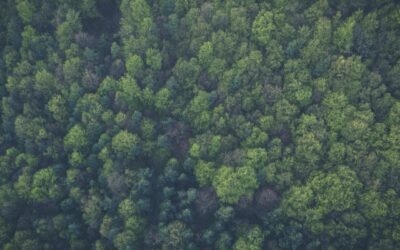 Sustainability at ØRN: Built Into the Way We Work