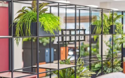 Creating a Vibrant and Functional Workplace with Proici Commercial Interiors